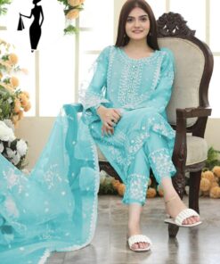 Light Blue Embroidered 3-Piece Organza Suit for Eid